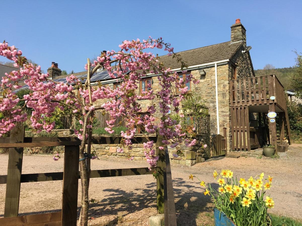 Tunnel Cottages At Blaen-Nant-Y-Groes Farm Aberdare Exterior photo